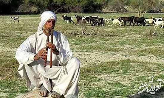 شیرازیها و بلوچهای ایران در تانزانیا چه میکنند؟ شیرازیها و بلوچهای ایران در تانزانیا چه میکنند؟